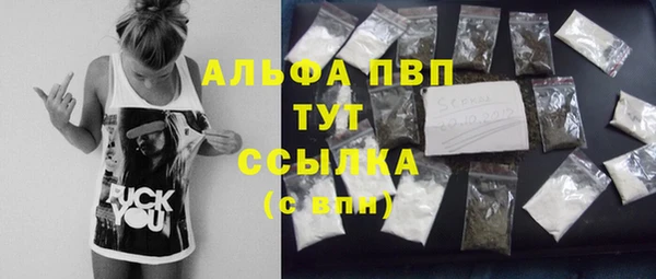 стаф Сатка