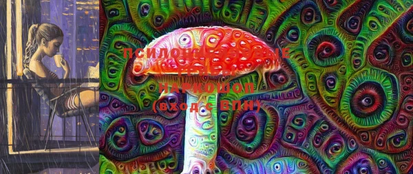 стаф Сатка